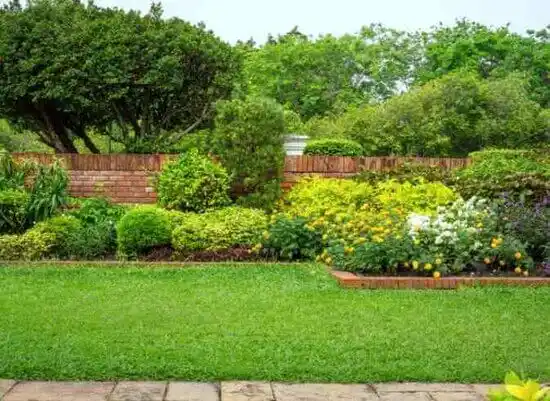 landscaping services Beechmont